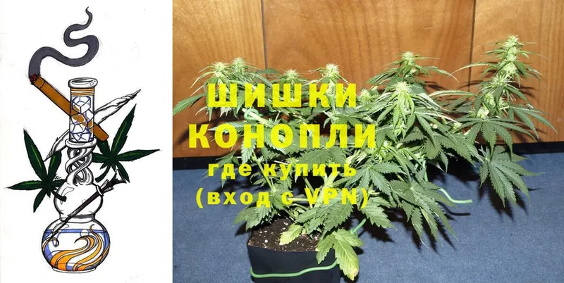 наркотики  Горняк  Бошки марихуана THC 21% 